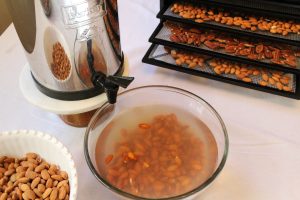 Soaked and Dehydrated Nuts (traditionally prepared)