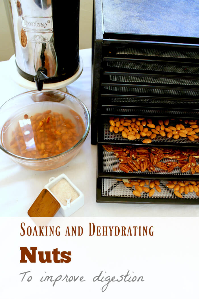 soaking-and-dehydrating-nuts-to-reduce-phytic-acid