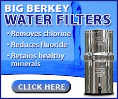 I have a 1-1/2 gallon berkey that I use to filter all our drinking water