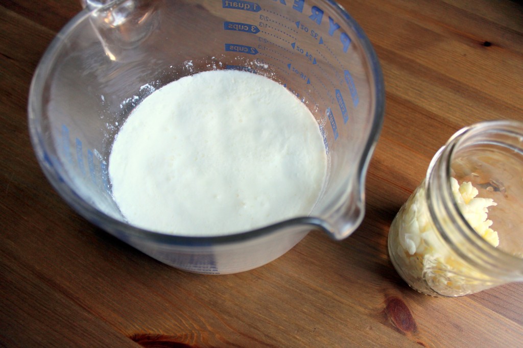 Milk Kefir