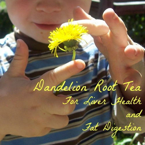 dandelion root tea liver health