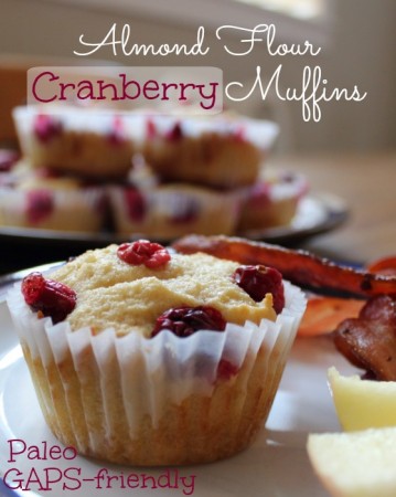 Almond Flour Cranberry Muffins - GAPS and Paleo, from Health, Home & Happiness