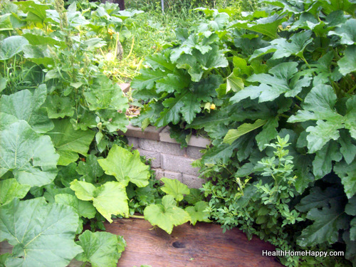 How to Garden While Living in an Apartment