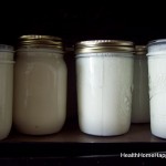 GAPS yogurt in dehydrator