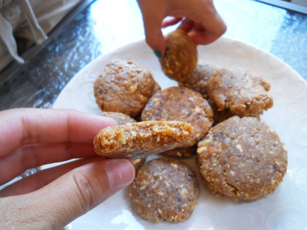 Apricot Coconut Dehydrator Cookies GAPS