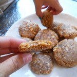 Apricot Coconut Dehydrator Cookies GAPS