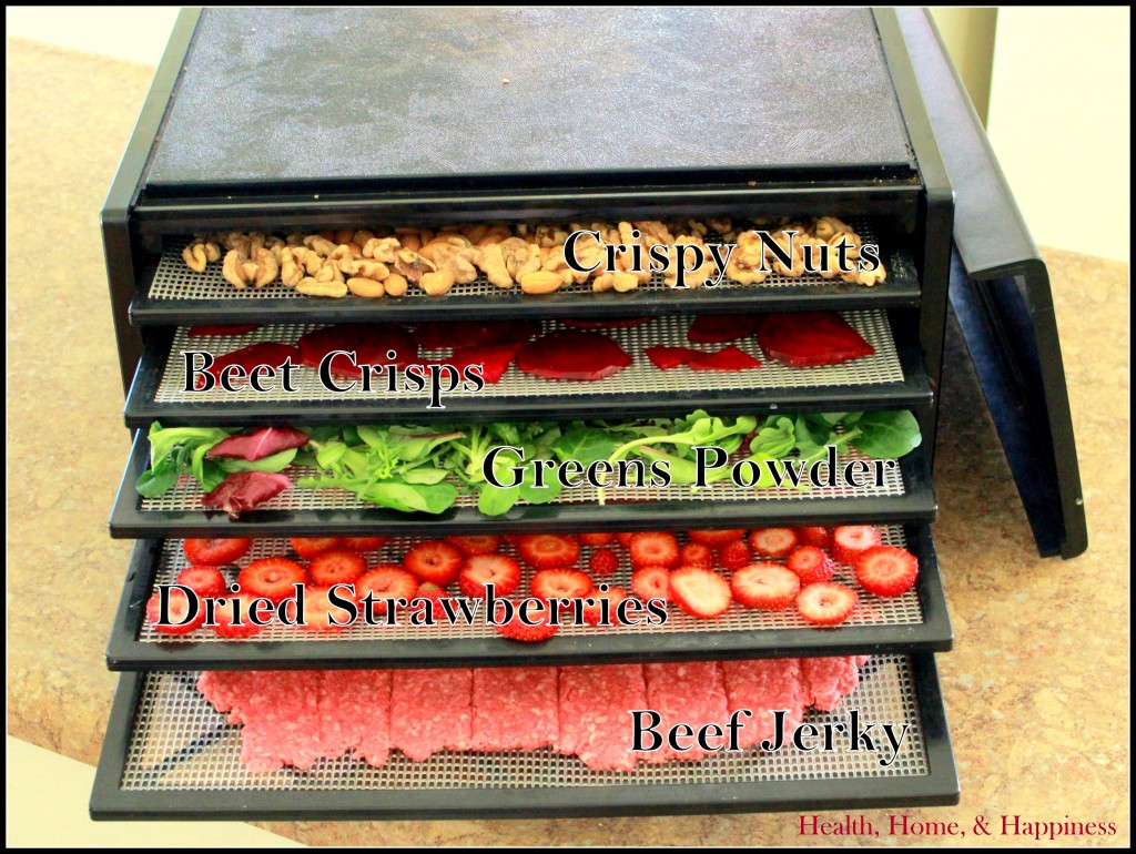 Excalibur Dehydrator Recipes