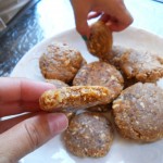 Apricot dehydrator cookies