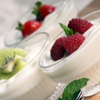 Coconut Milk Yogurt