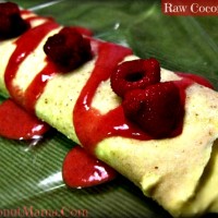 Coconut Wraps