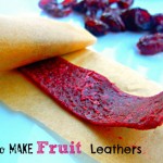 Fruit Leathers