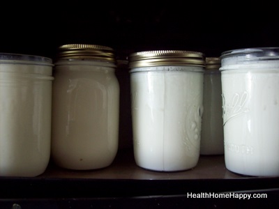 How to Make 24-Hour Yogurt in the Dehydrator (easy directions for SCD and GAPS)