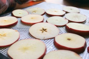 apples to dry