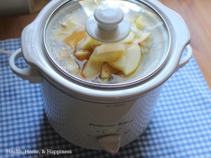 Overnight Crockpot Oatmeal with Fruit and Vanilla