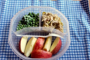 Packing Simple Homemade Lunches for Children on the GAPS Diet