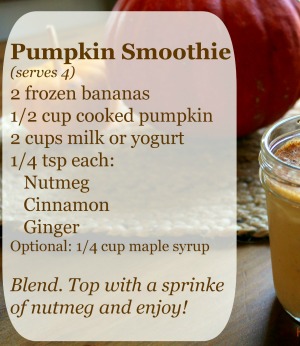 Pumpkin Smoothie recipe