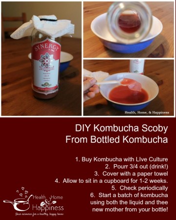 DIY Kombucha Scoby from store kombucha