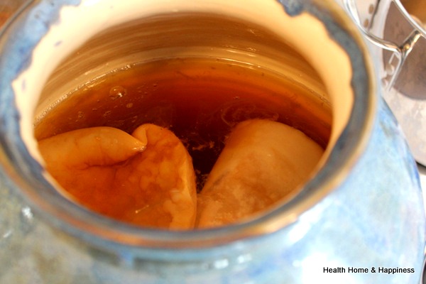 Fermented Sweet Tea- Kombucha!