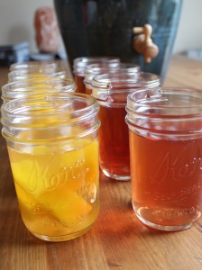 Fruit second fermentation homemade kombucha