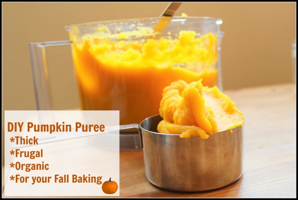 DIY Pumpkin Winter Squash Puree that is Thick