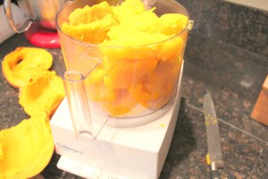 Easy and Frugal pumpkin puree (1)