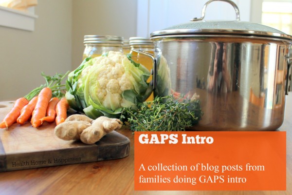 Links to blog posts about families doing the GAPS introduction diet