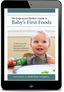 babys first foods the empowered mothers guide