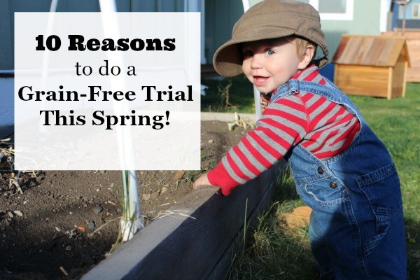 10 Reasons to do a grain free trial now that the weather is warming up