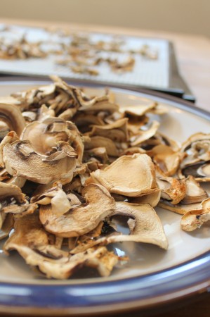 Dehydrator mushroom chips