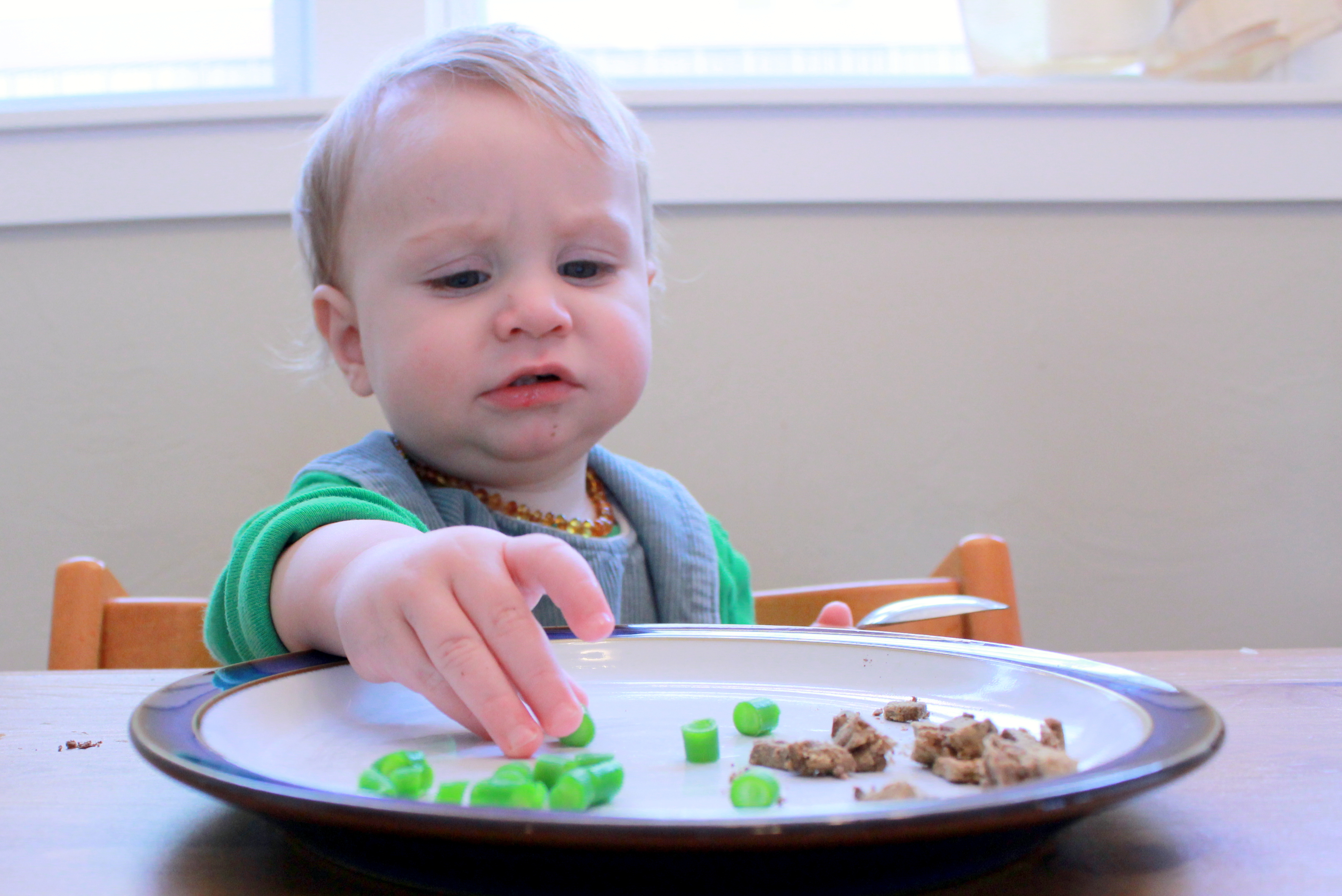 Your Bugs Are Screaming for Sugar (why gut microbes are making your kids PICKY)