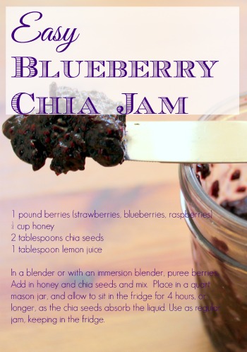 chia seed jam gaps paleo recipe