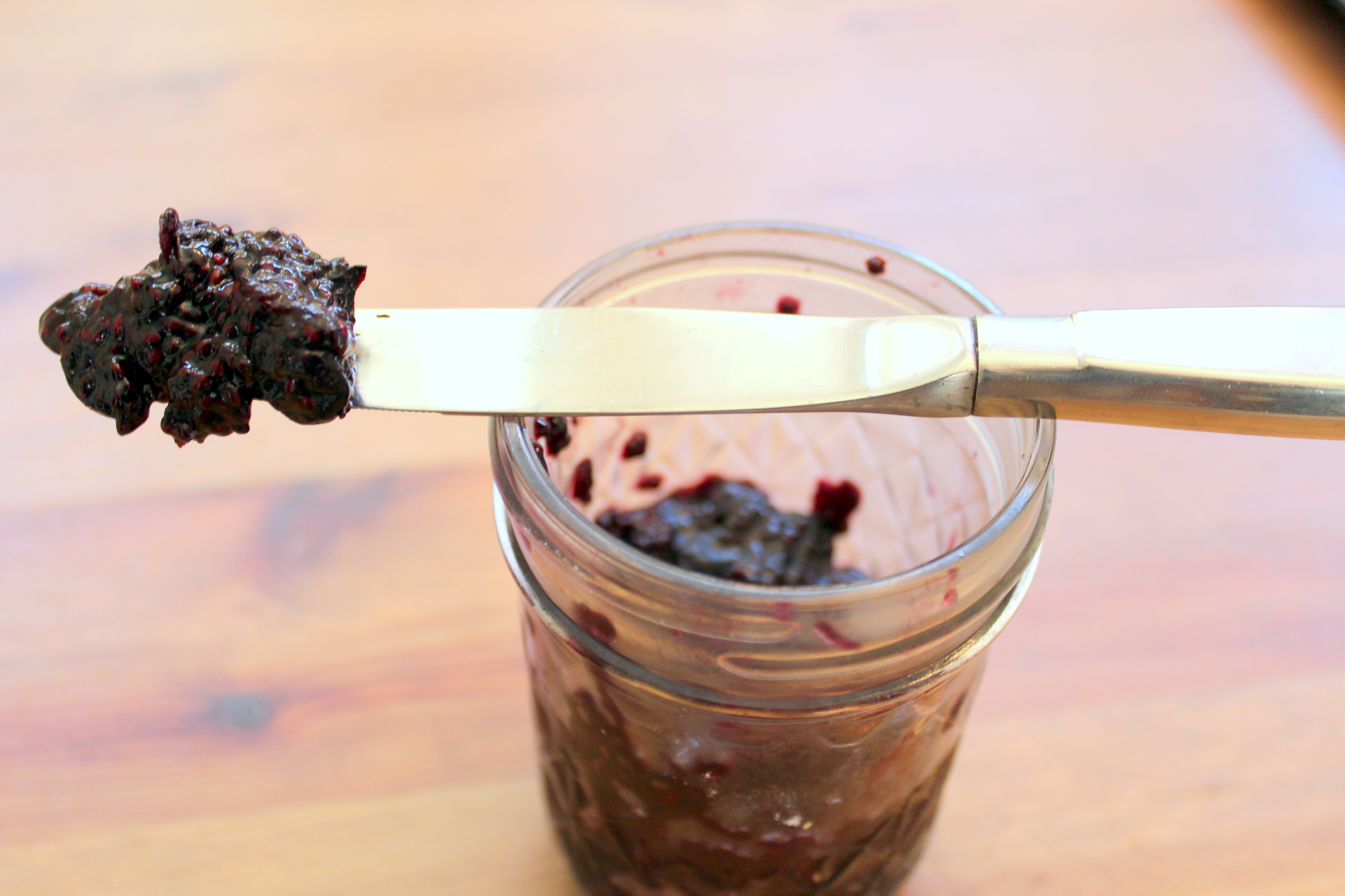 chia seed jam gaps paleo scd no sugar