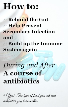 How to rebuild after antibiotics with real food - good info