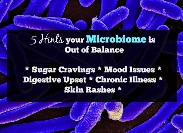 Gut Flora Microbiome Out of Balance