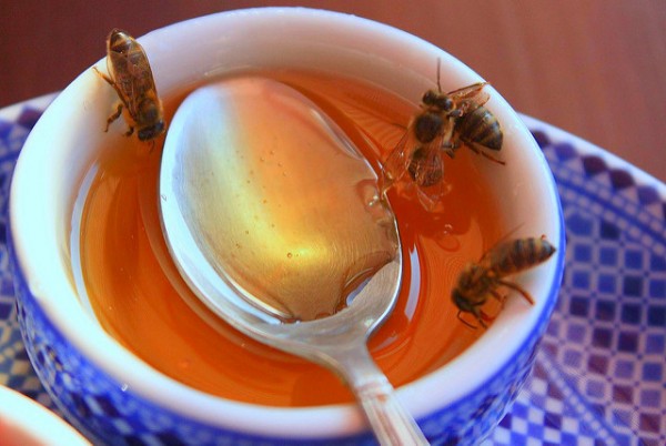 honey in a cup with a spoon and bees crawling in