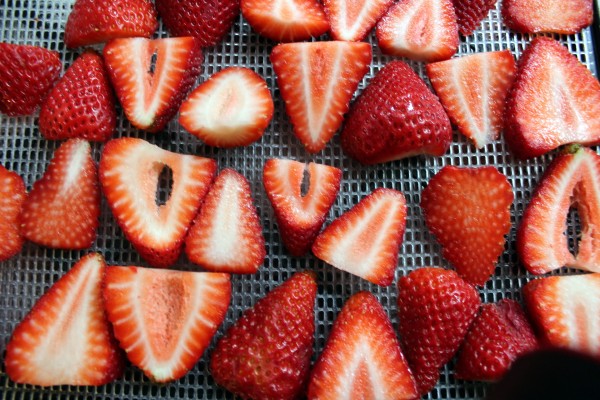 how to dry strawberries 3