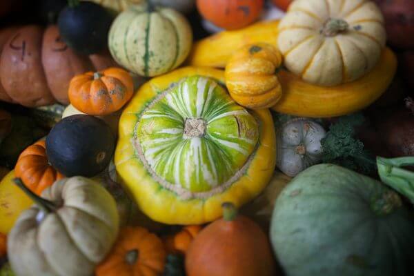 Winter Squash - 12 recipes