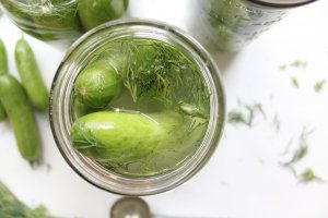 Perfect Lactofermented Dill Pickles (that work every time!)