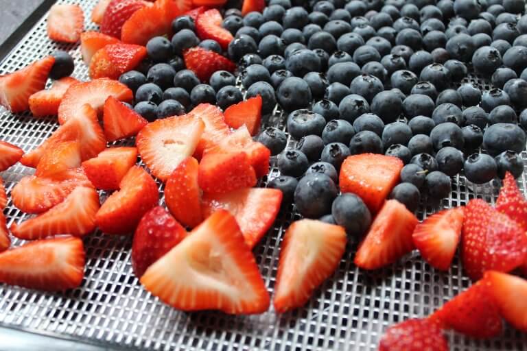 Homemade Mixed Berry RX Bar Recipe ⋆ Health, Home, & Happiness