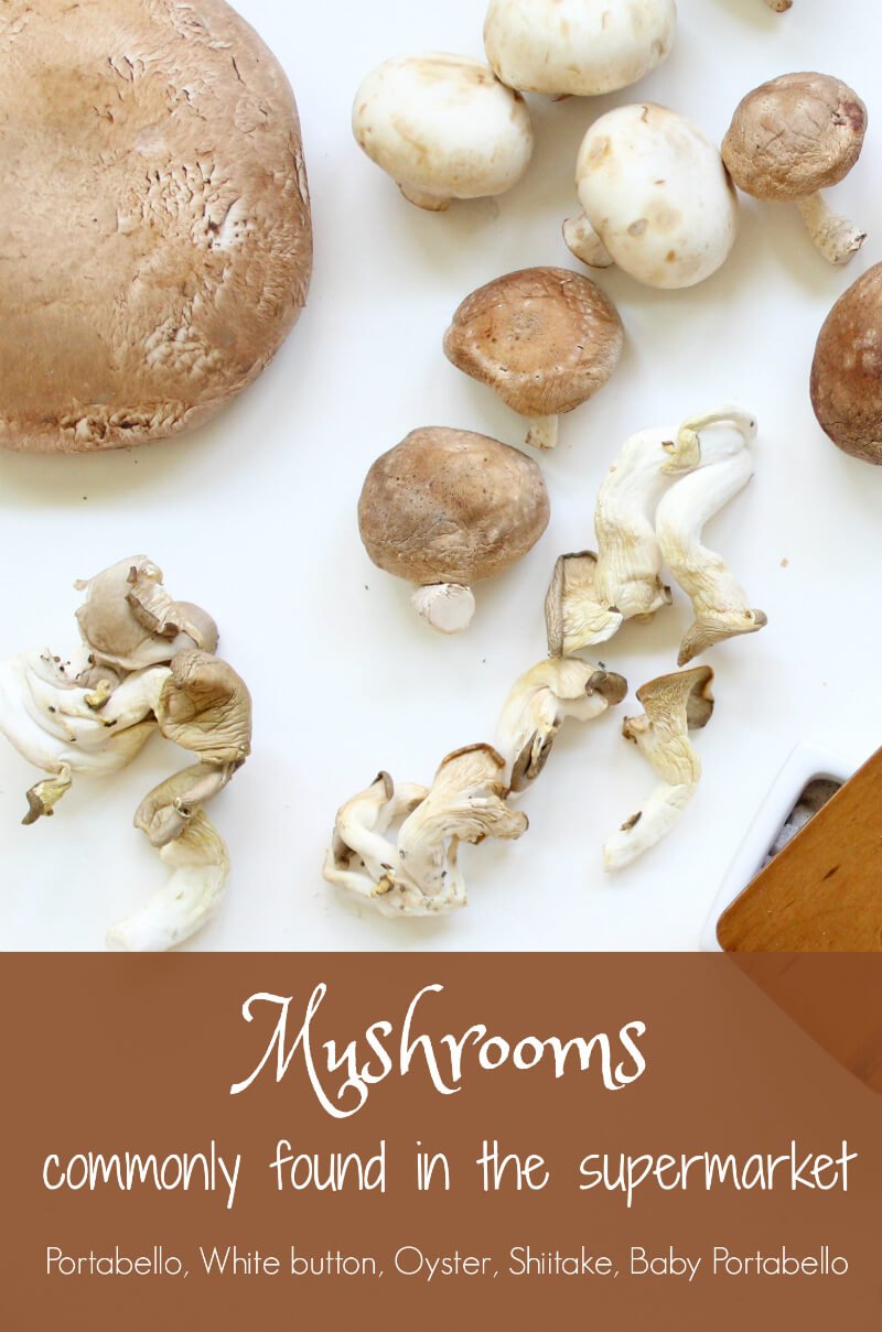 Mushrooms available at most grocery stores for cream of mushroom soup recipes