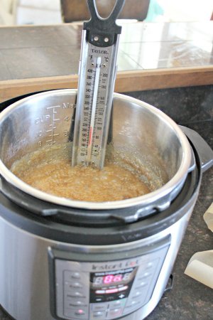 https://healthhomeandhappiness.com/wp-content/uploads/2017/10/Candymaking-with-the-Instant-Pot-300x450.jpg