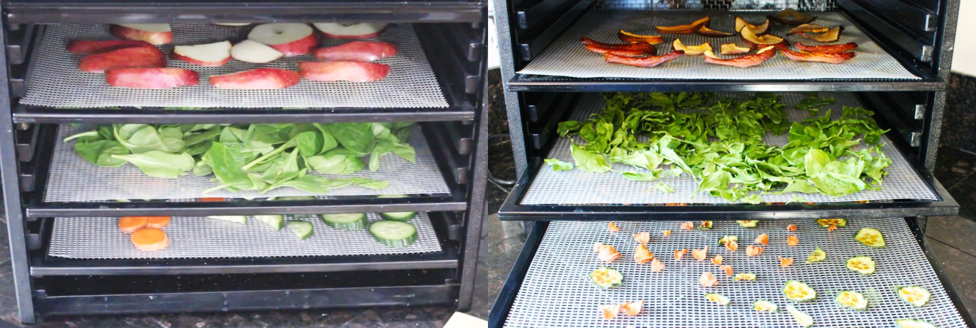 Use the Dehydrator to Prevent Food Waste
