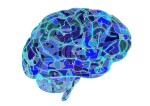 Healing brain trauma with food supplements and lifestyle