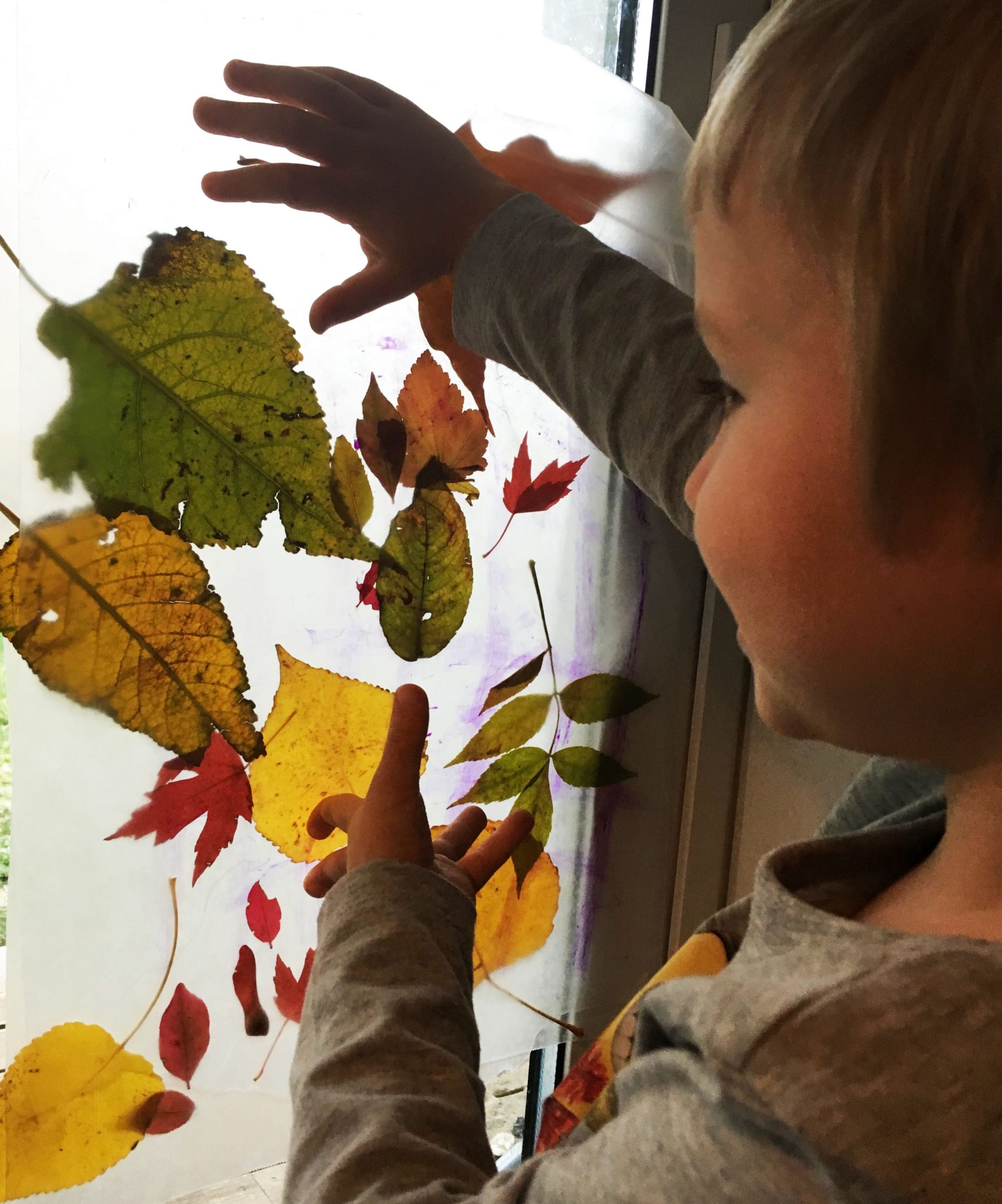 Wax Paper Autumn Leaf ‘Stained Glass’ (Easy and Beautiful Natural Fall Craft for Preschoolers)