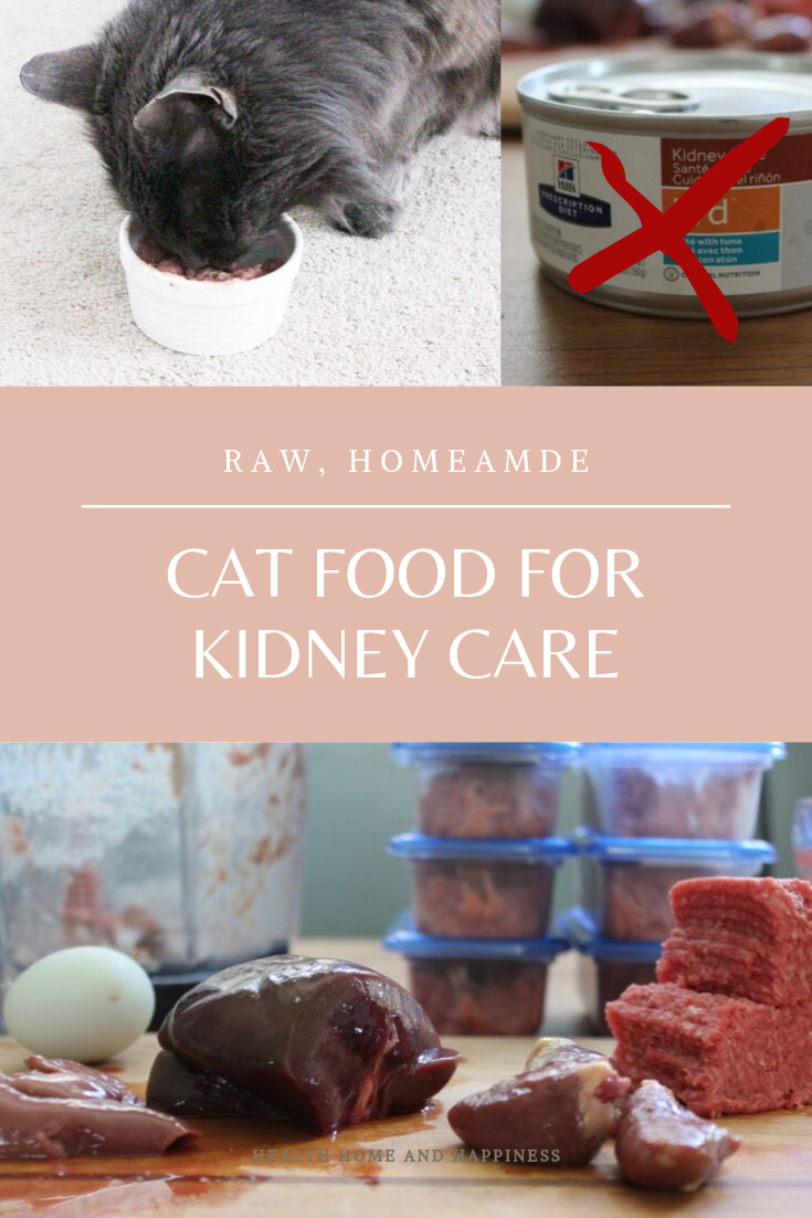 Homemade cat sale food renal diet