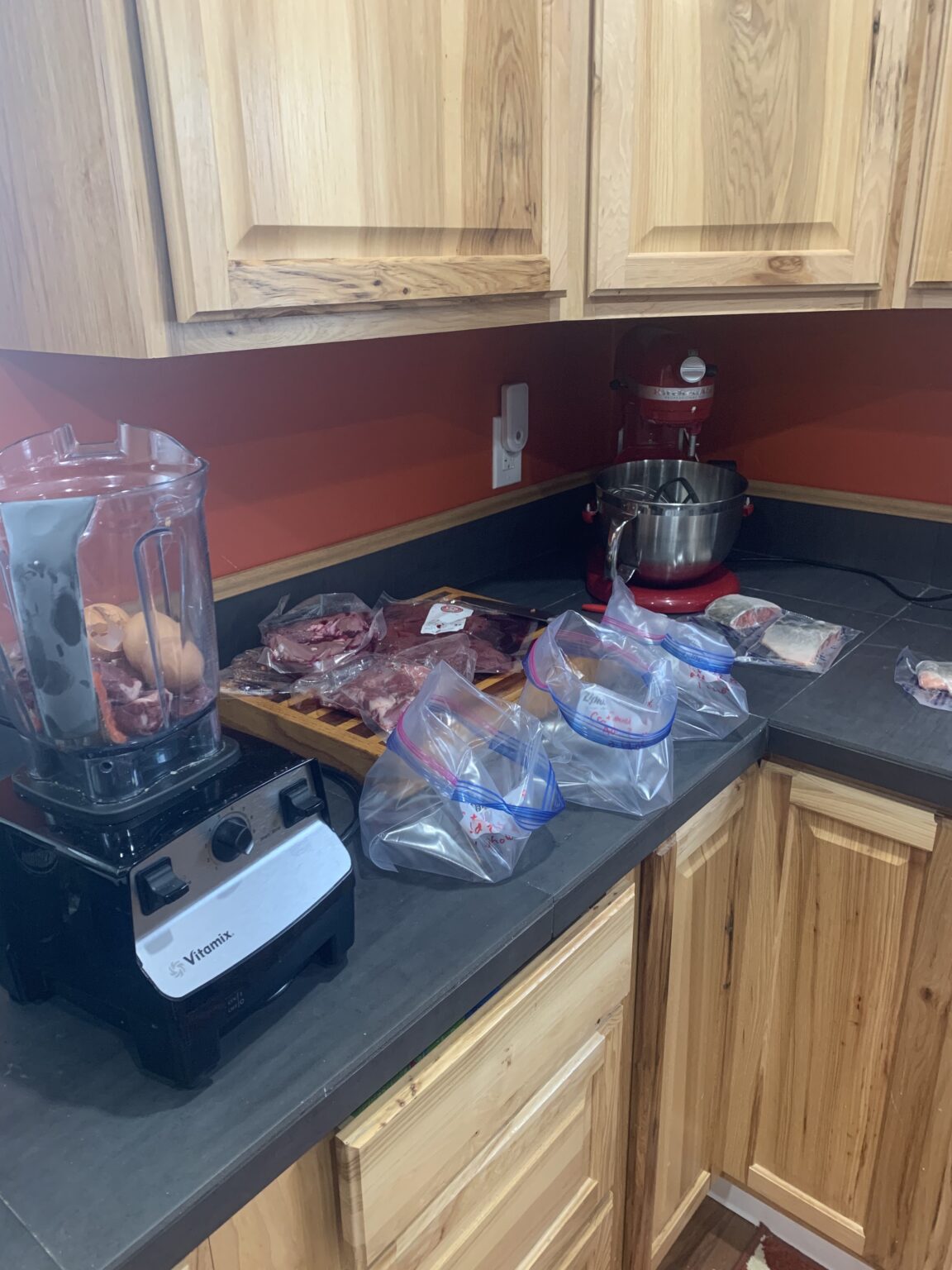 Homemade Kitten Food Health, Home, & Happiness