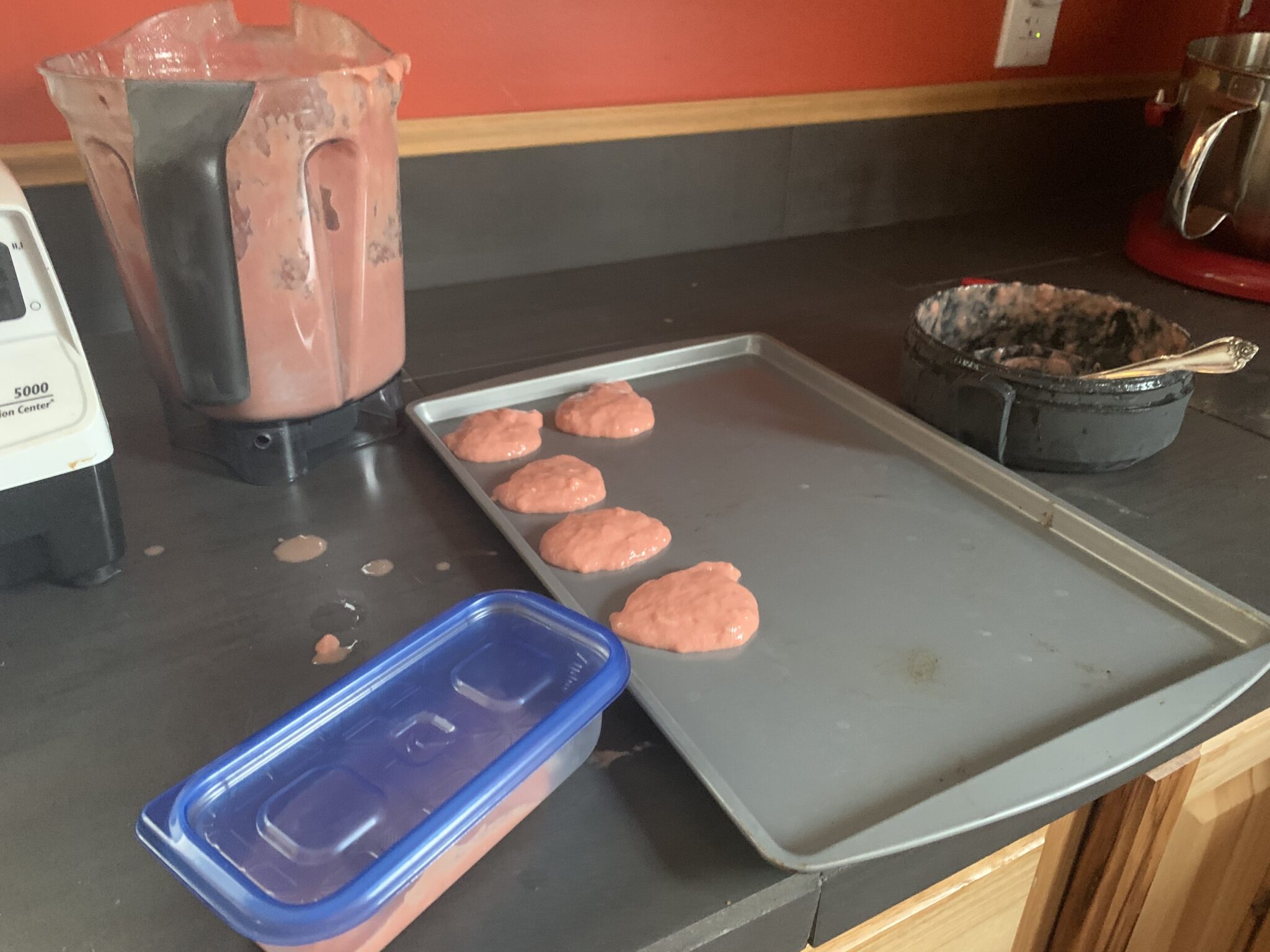 Homemade Kitten Food Health, Home, & Happiness