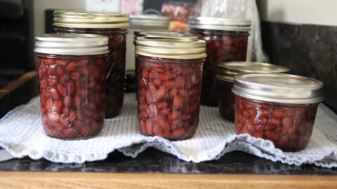 Pressure Canning Pinto Beans in the Presto Digital Canner  Pressure canner  recipes, Pressure canning, Canning beans